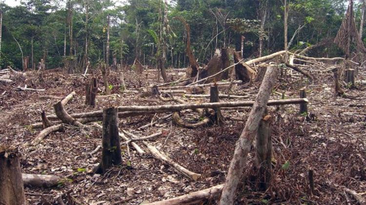 Βραζιλία: Η Αποψίλωση του Αμαζονίου Έφτασε το 2020 στο Υψηλότερο Επίπεδό της Εδώ και 12 Χρόνια